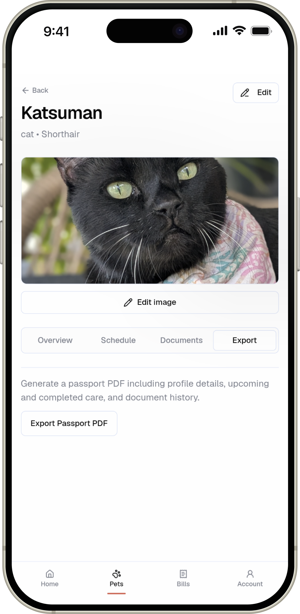 Share a clean passport PDF in seconds.